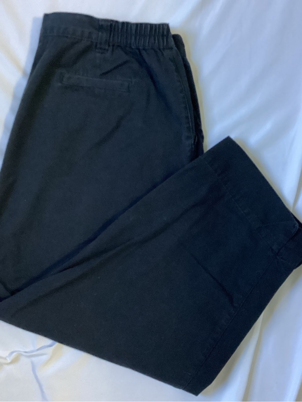 White Stag Ladies Black Casual Dress Pants Size 16W